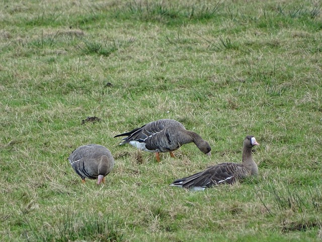 时上场时间 时上场时间