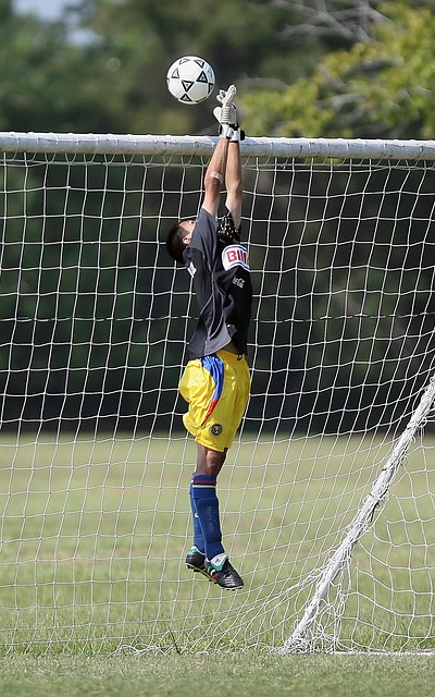 理念虽然不 理念虽然不