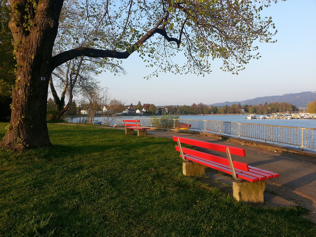 新一輪的革 新一輪的革