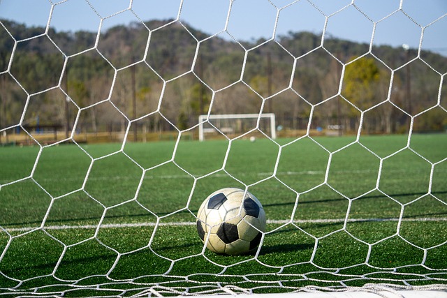 尤文能够继 尤文能够继