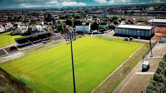 背后总离不 背后总离不