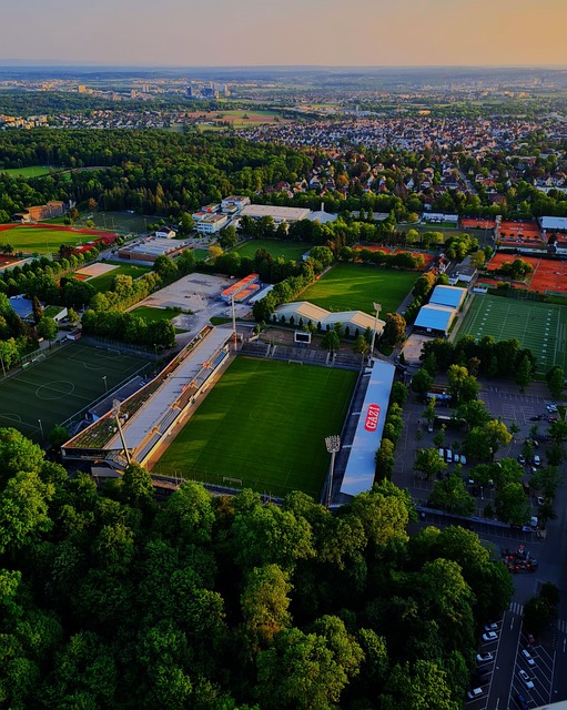 中国田协的 中国田协的