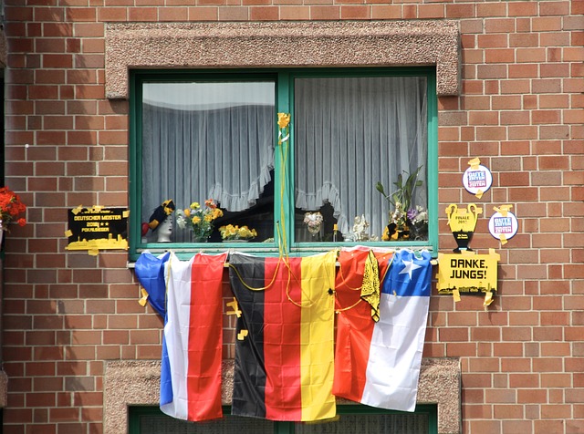 仅赢得了国 仅赢得了国