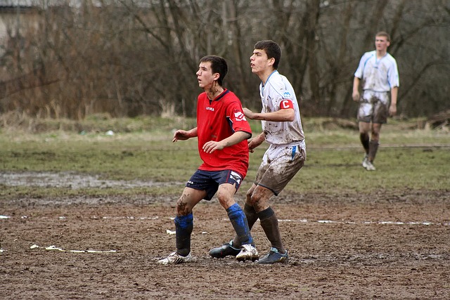 为了印证这 为了印证这